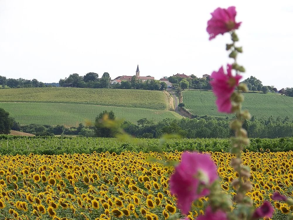 Panneaux solaires à Lagraulet-du-Gers