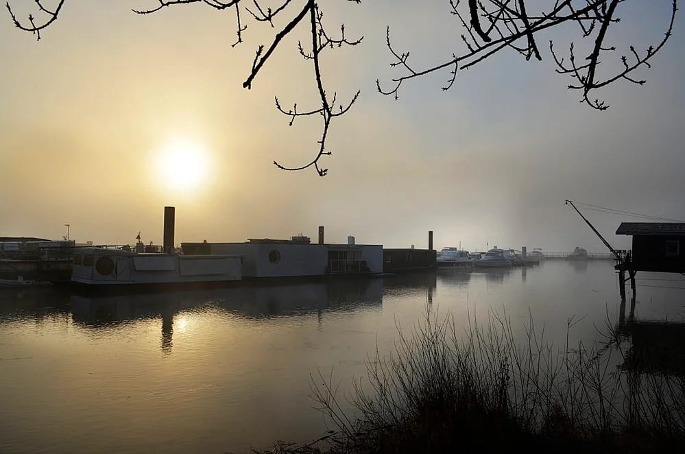 Panneaux solaires à Bègles