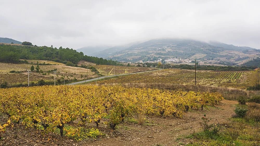Panneaux solaires à Berlou