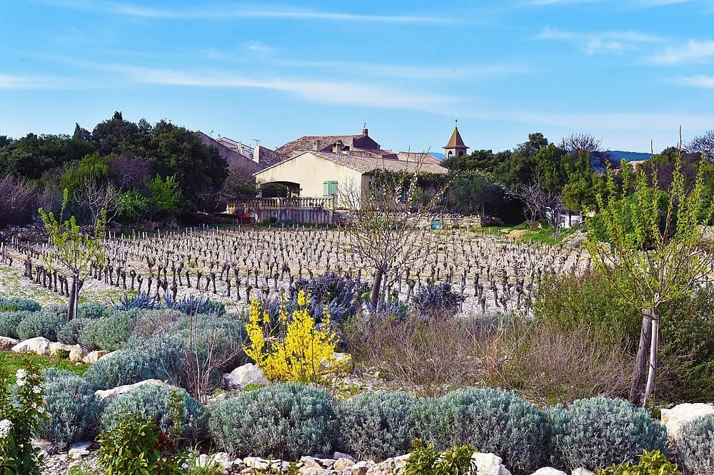 Panneaux solaires à Saint-Jean-de-Minervois
