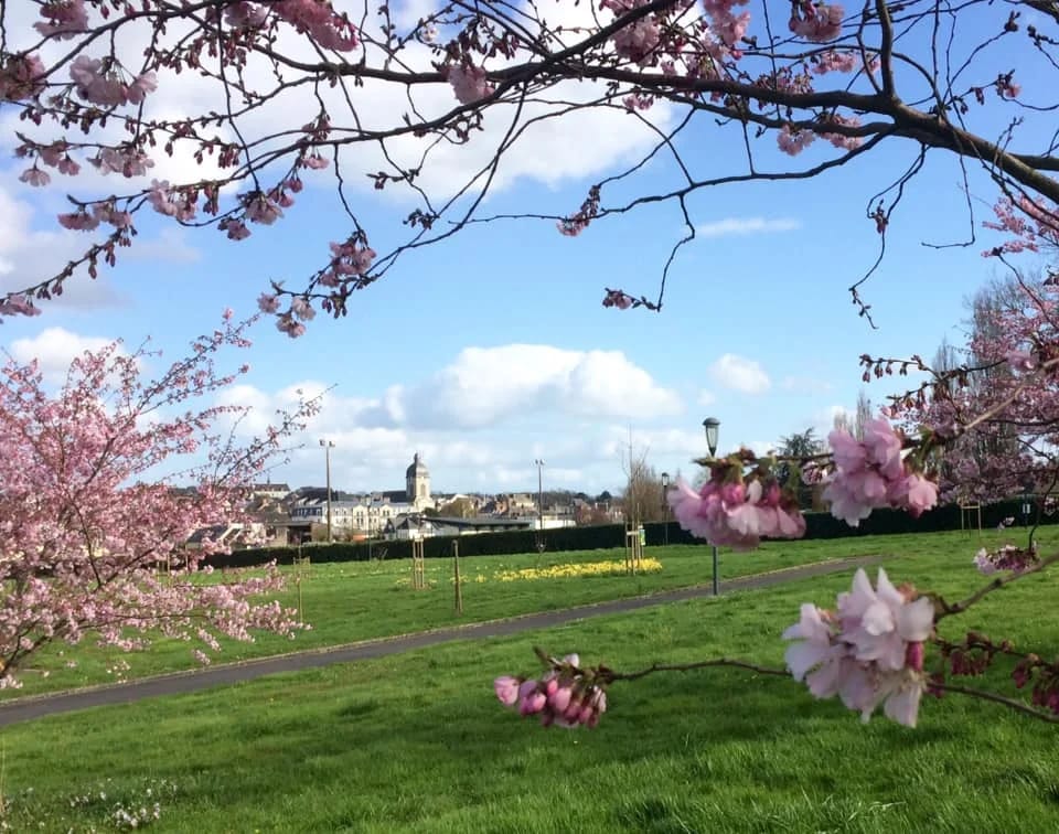 Panneaux solaires à Argentré-du-Plessis