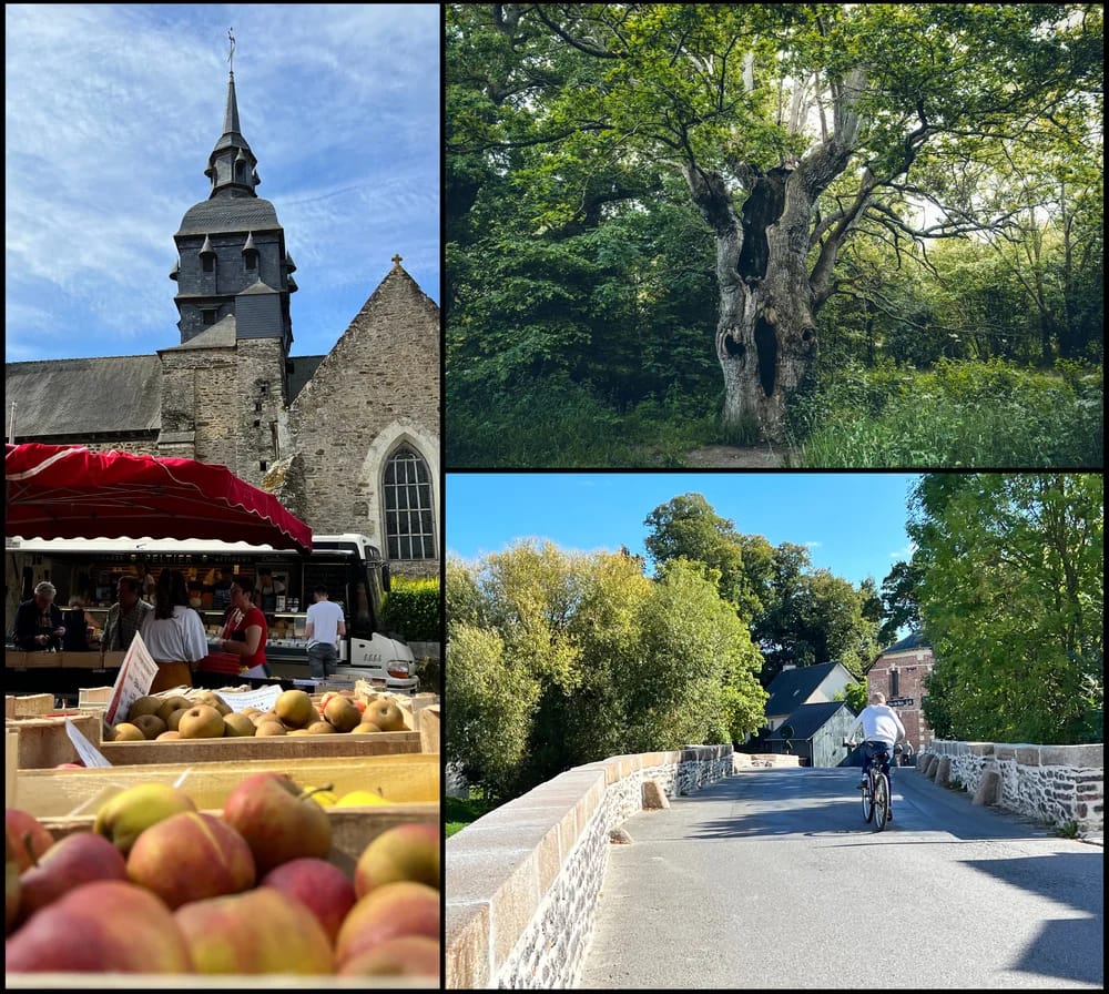 Panneaux solaires à Pacé