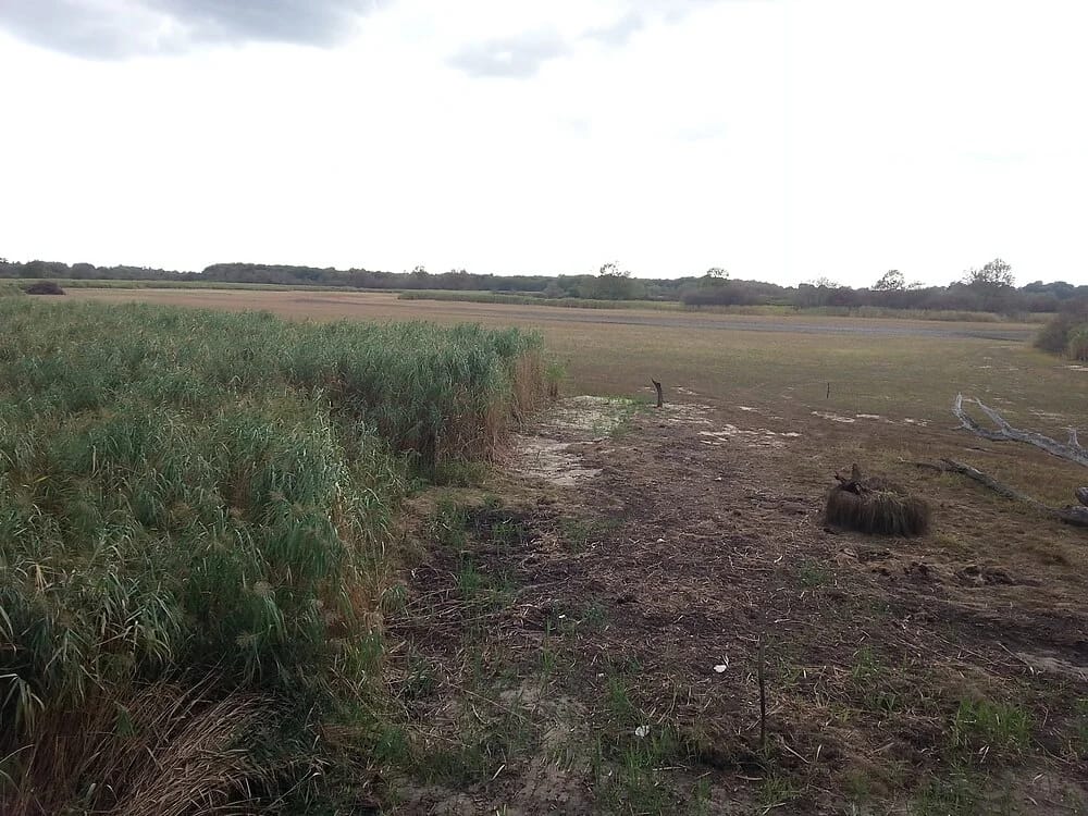 Panneaux solaires à Lingé