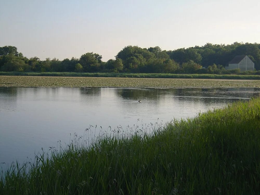 Panneaux solaires à Saint-Michel-en-Brenne