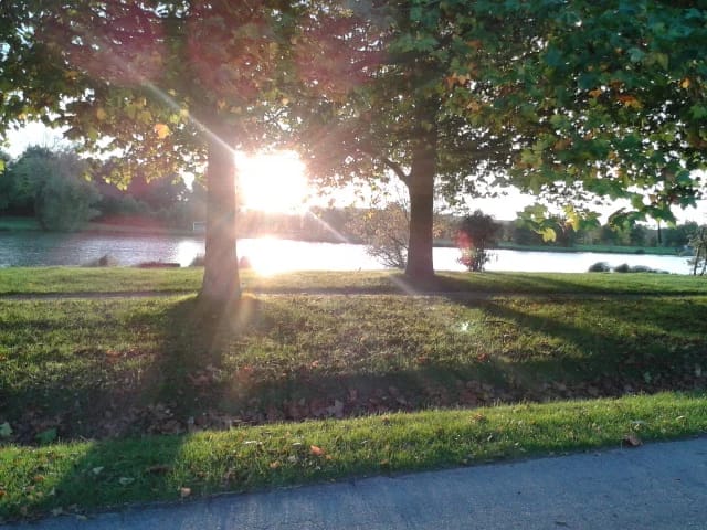 Panneaux solaires à Bridoré