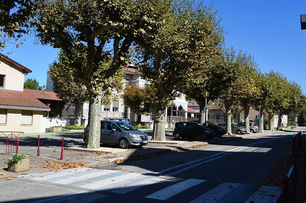 Panneaux solaires à Assieu