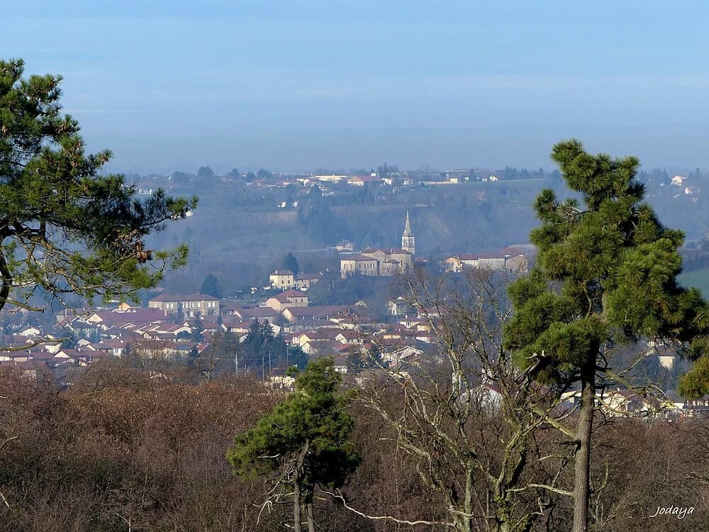 Panneaux solaires à Charantonnay