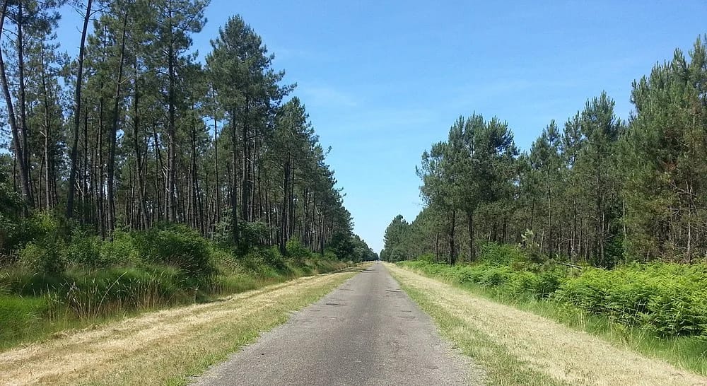 Panneaux solaires à Maillas