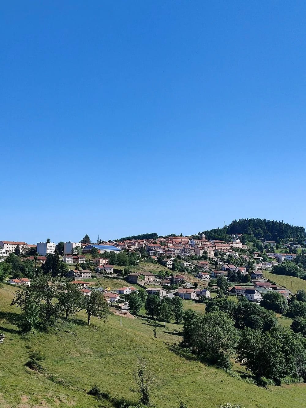 Panneaux solaires à Violay