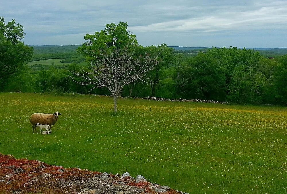 Panneaux solaires à Lugagnac
