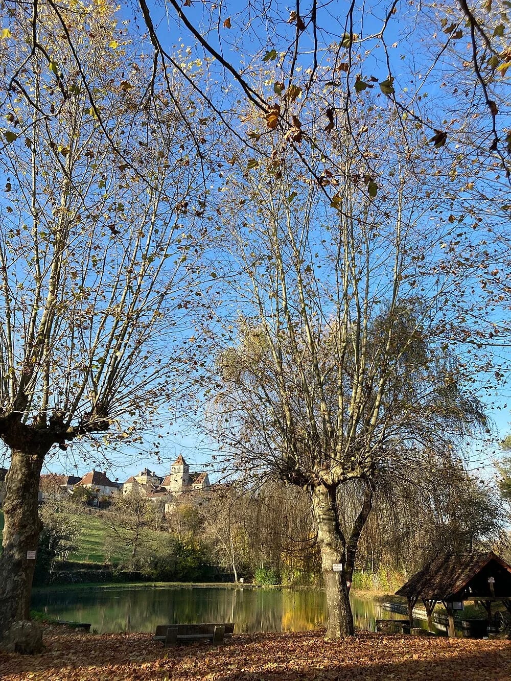 Panneaux solaires à Montfaucon