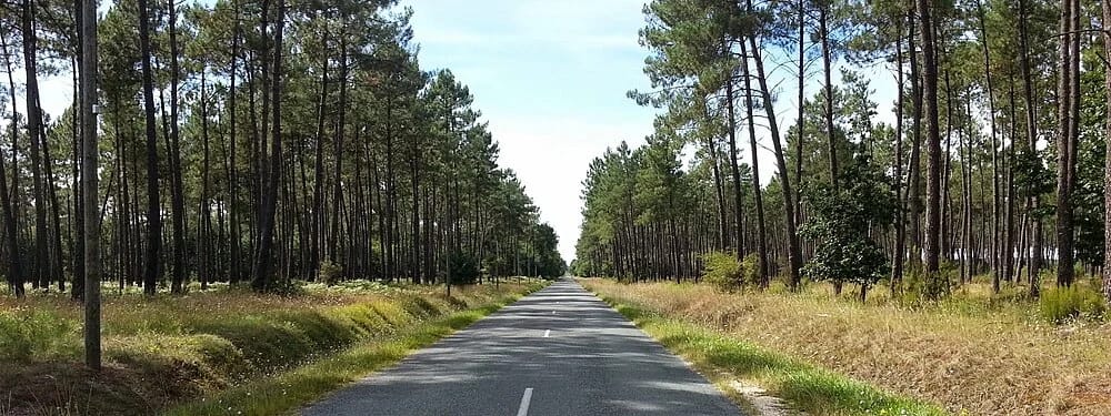 Panneaux solaires à Boussès