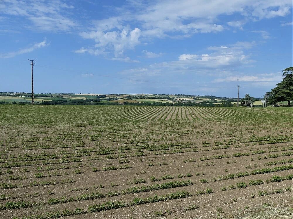 Panneaux solaires à Saumont