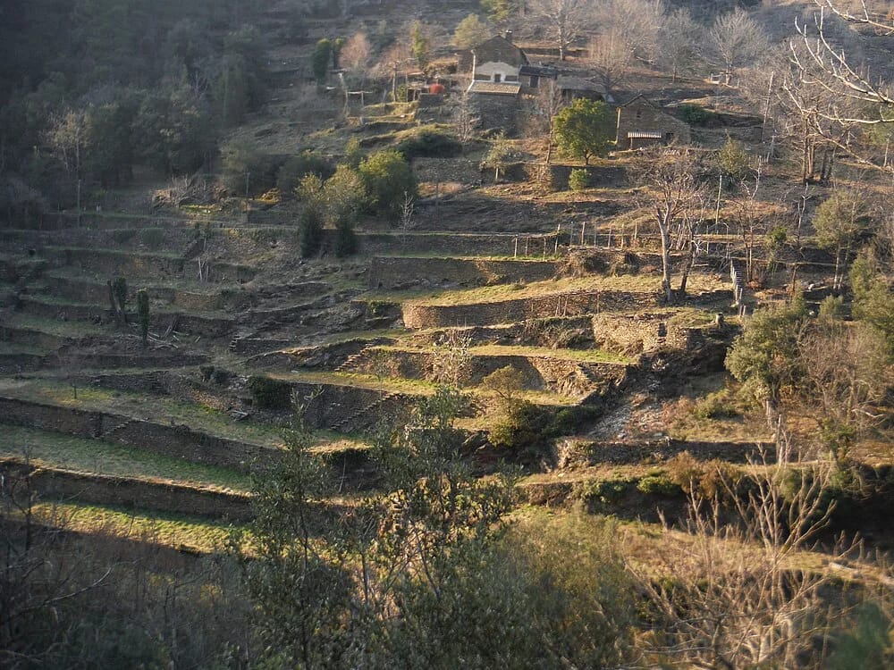 Panneaux solaires à Saint-Martin-de-Boubaux