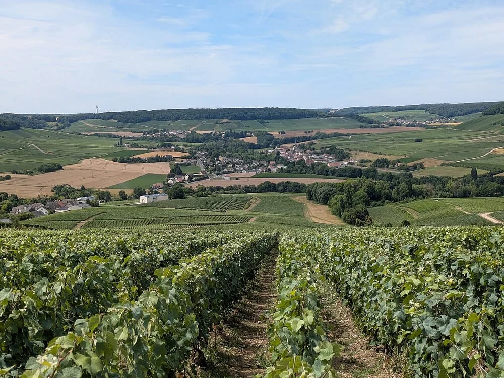 Panneaux solaires à Festigny