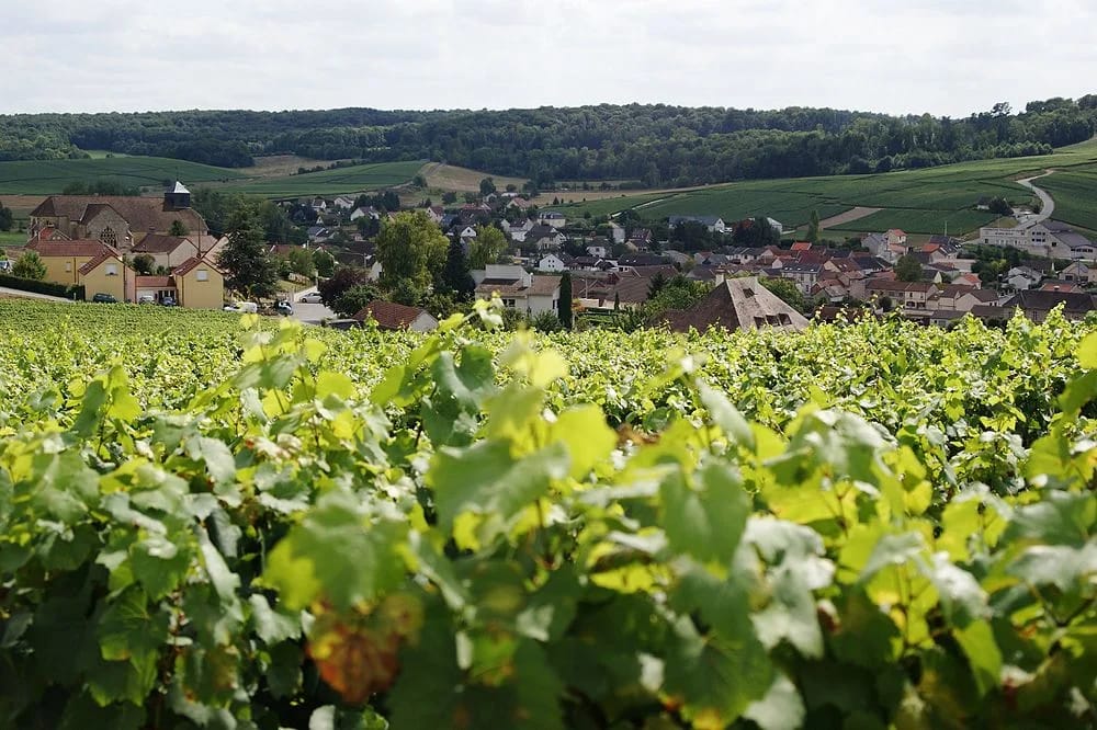Panneaux solaires à Grauves