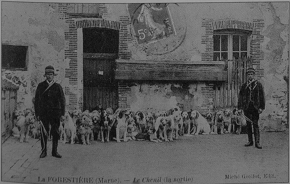 Panneaux solaires à Forestière