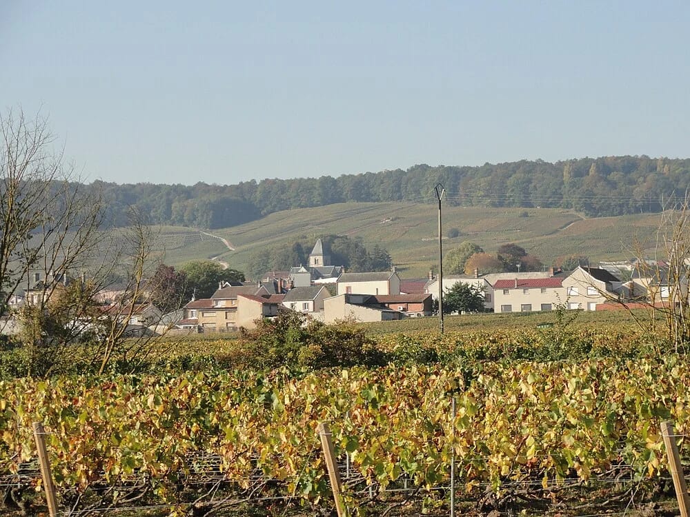 Panneaux solaires au Mesnil-sur-Oger