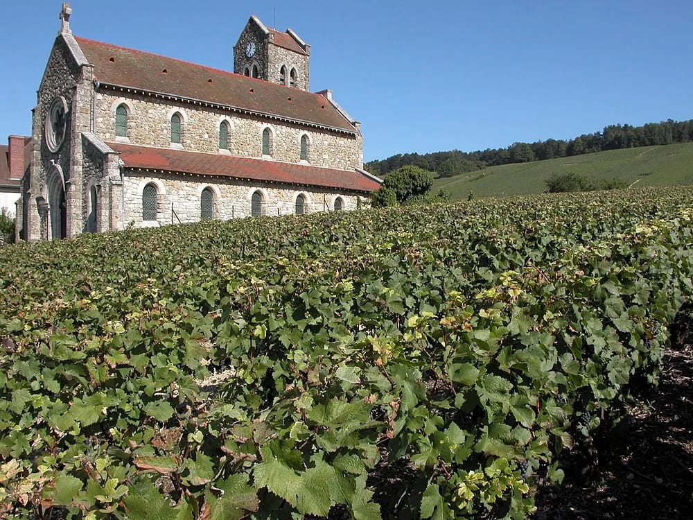 Panneaux solaires à Leuvrigny
