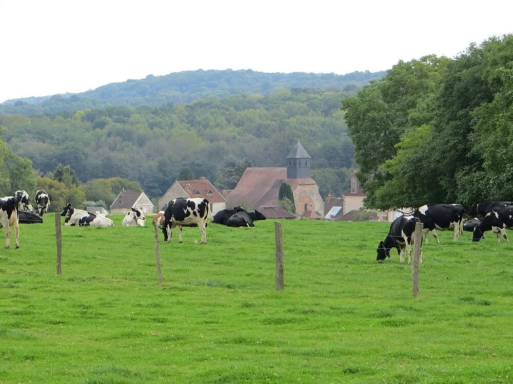 Panneaux solaires à Suizy-le-Franc