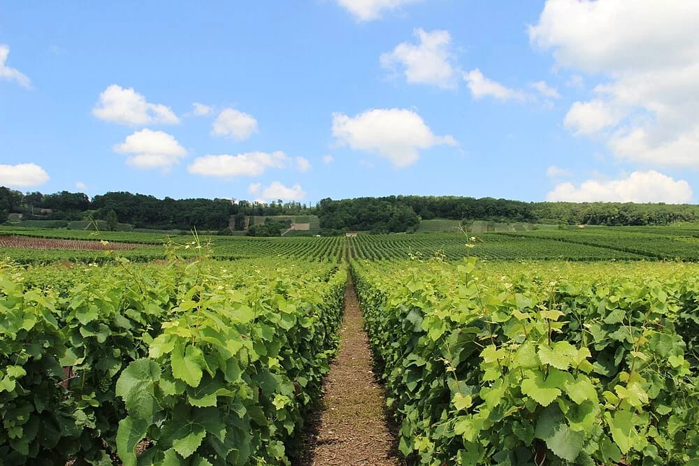 Panneaux solaires à Venteuil