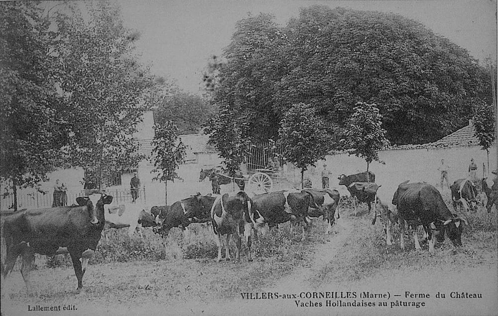 Panneaux solaires à Villiers-aux-Corneilles