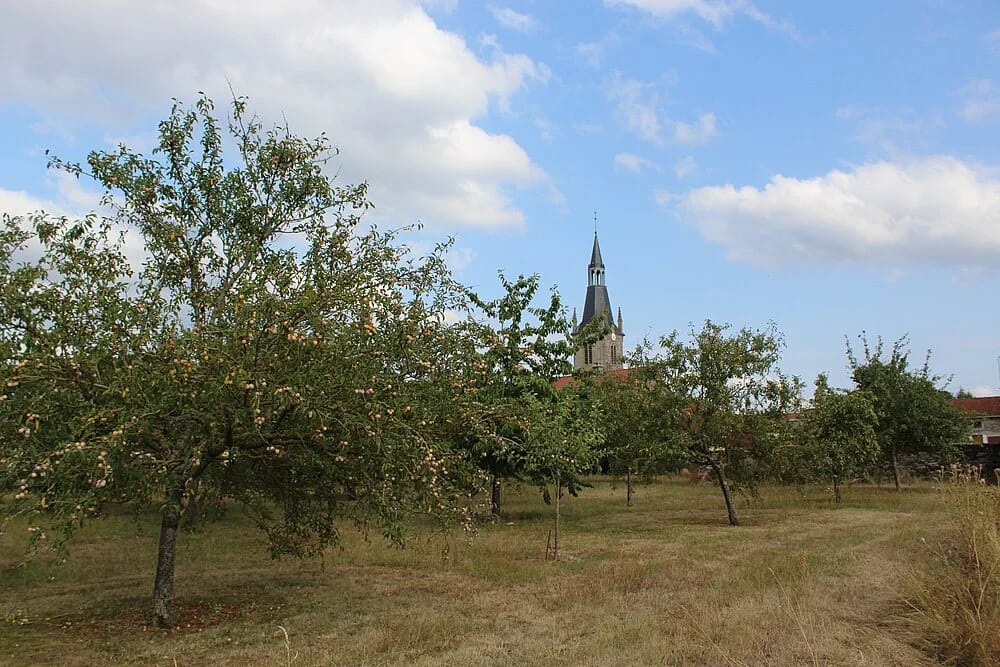 Panneaux solaires à Marbéville
