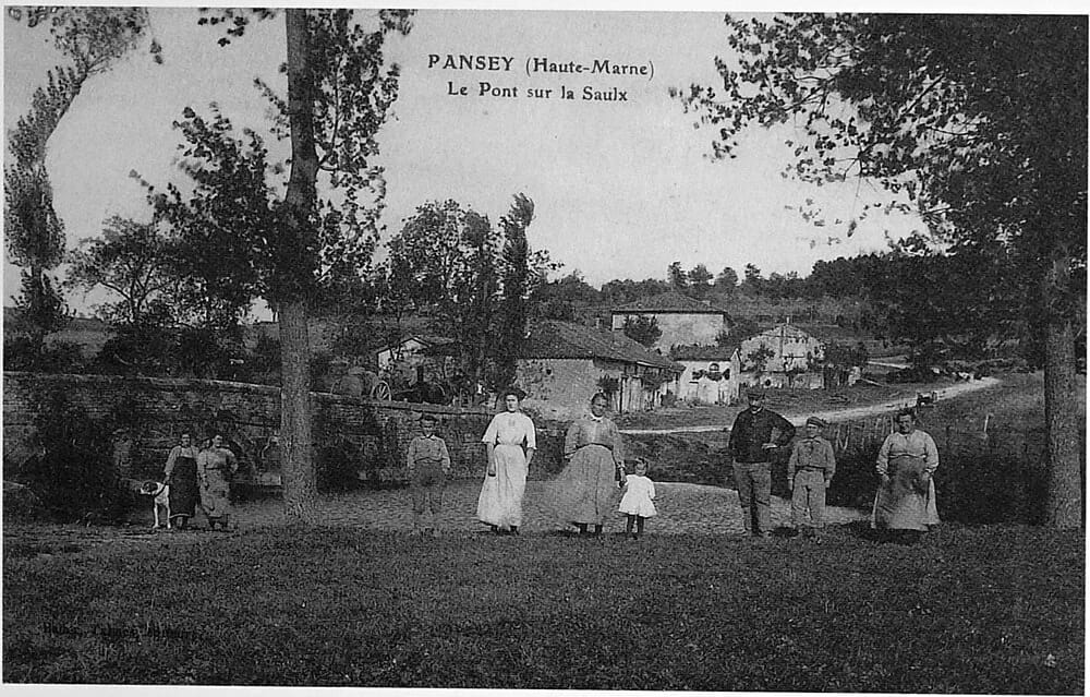 Panneaux solaires à Pansey