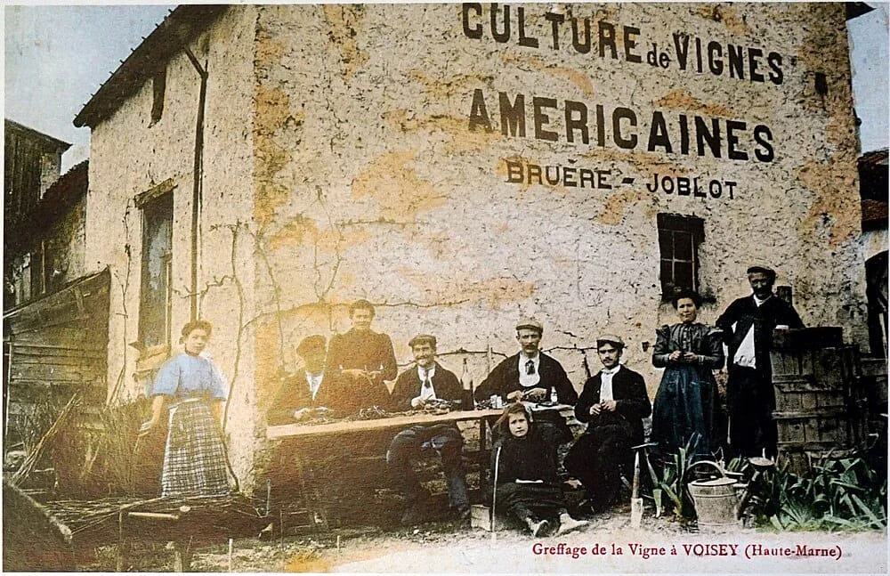 Panneaux solaires à Voisey