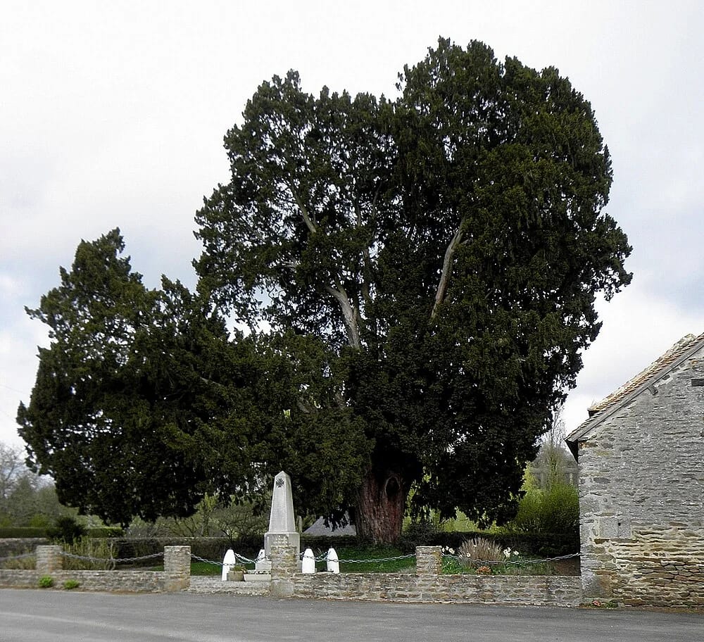 Panneaux solaires à Boulay-les-Ifs