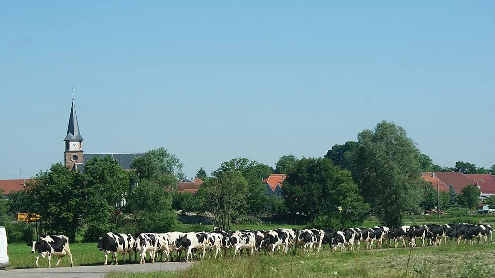 Panneaux solaires à Ancerviller