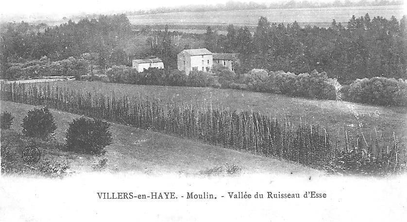 Panneaux solaires à Villers-en-Haye