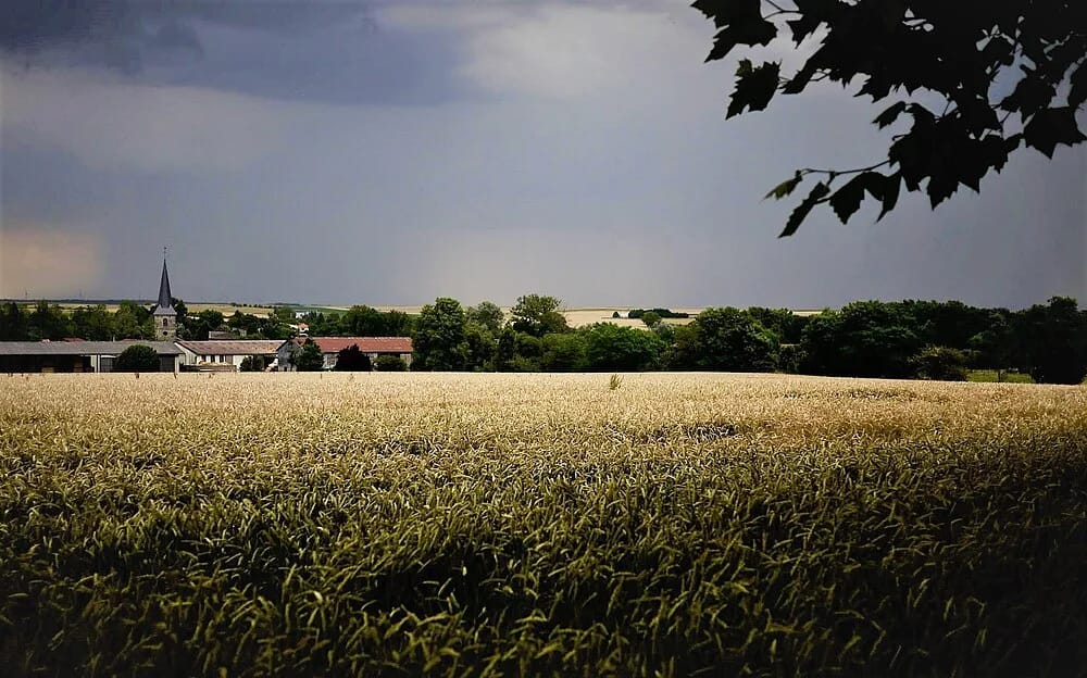 Panneaux solaires à Lavoye