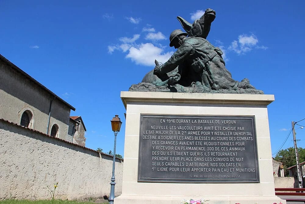 Panneaux solaires à Neuville-lès-Vaucouleurs