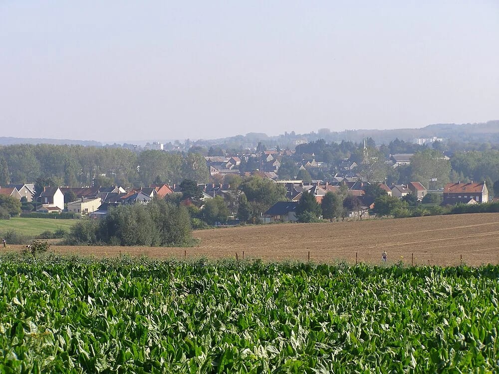 Panneaux solaires à Marpent