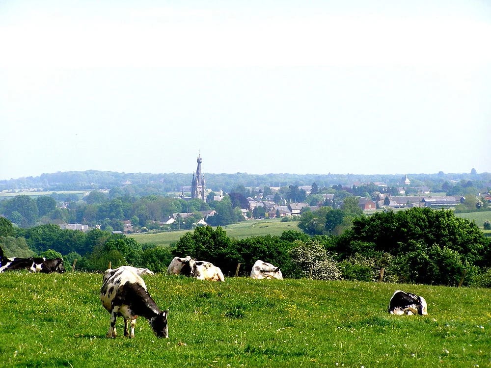 Panneaux solaires à Solre-le-Château