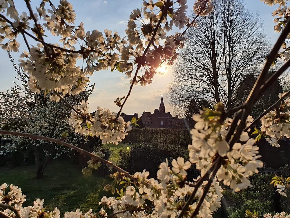 Panneaux solaires à Wahagnies