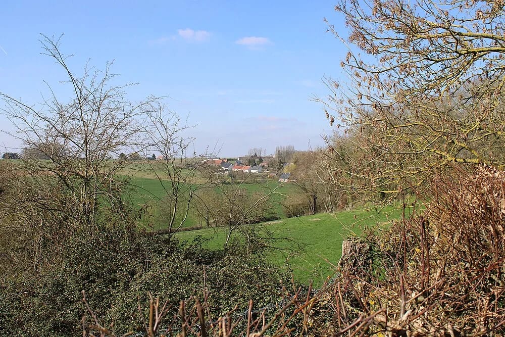 Panneaux solaires au Plessis-Patte-d'Oie
