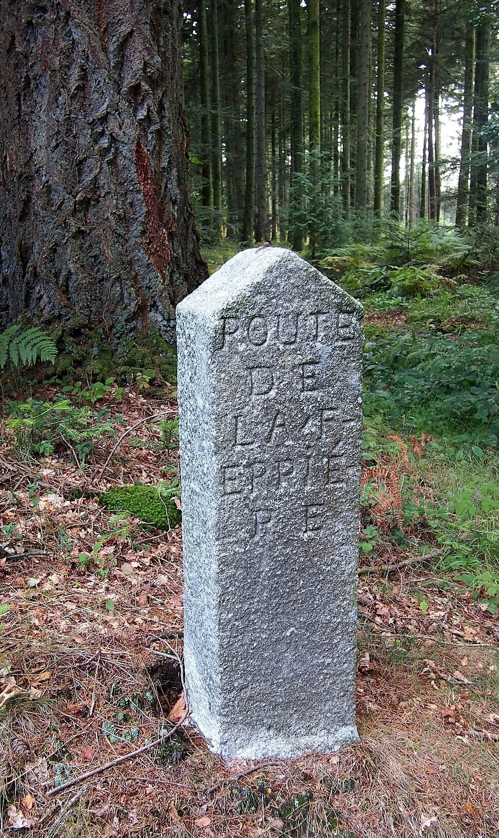 Panneaux solaires à Ferrière-Béchet