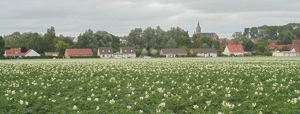 Panneaux solaires à Wittes