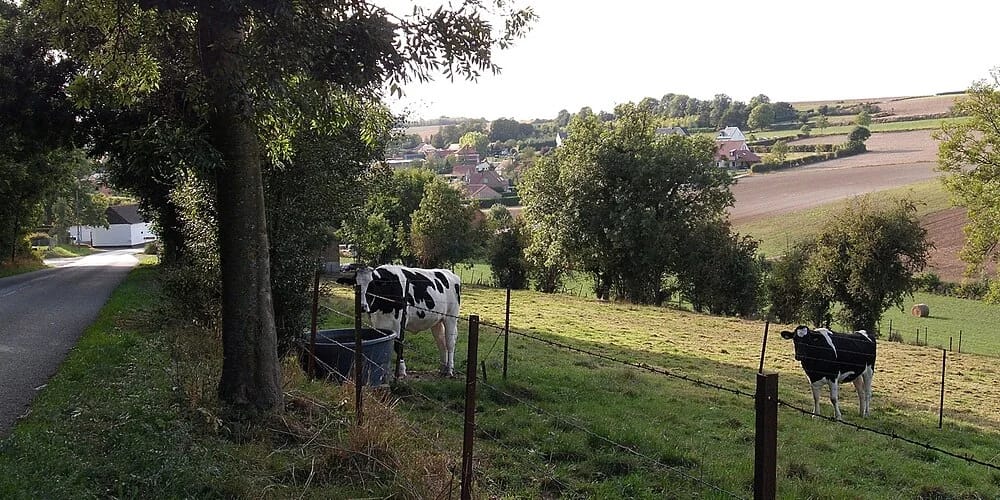 Panneaux solaires à Zudausques
