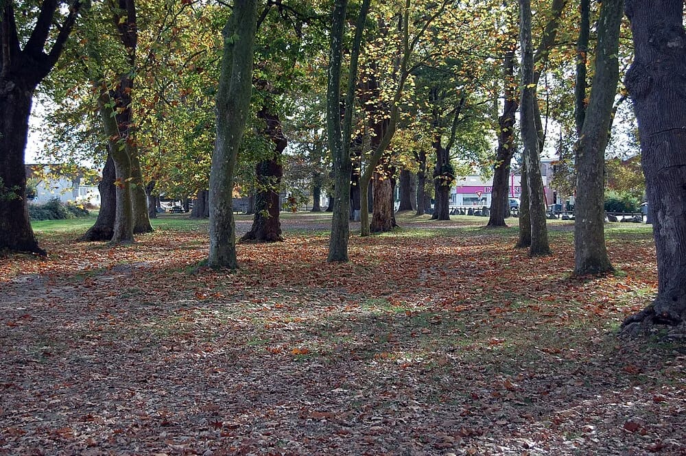 Panneaux solaires à Idron