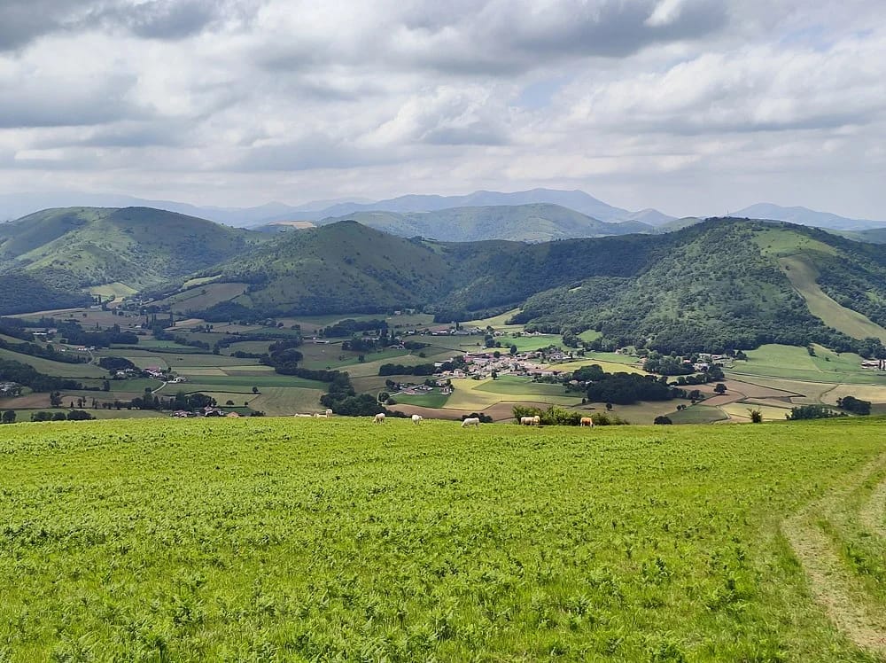 Panneaux solaires à Larceveau-Arros-Cibits