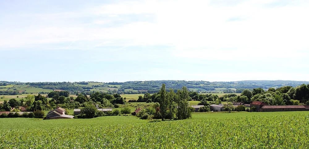 Panneaux solaires à Buzon