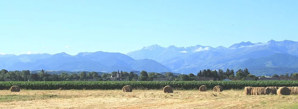 Panneaux solaires à Horgues