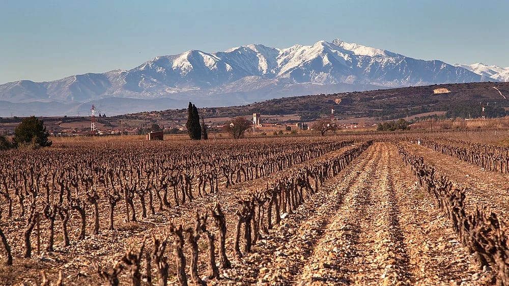 Panneaux solaires à Espira-de-l'Agly