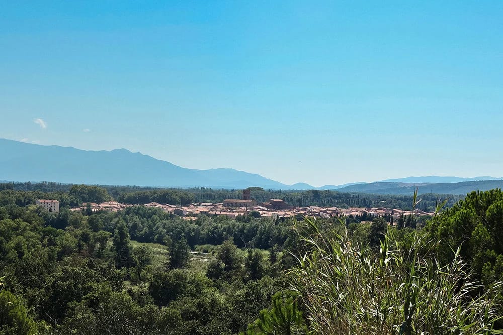 Panneaux solaires à Millas