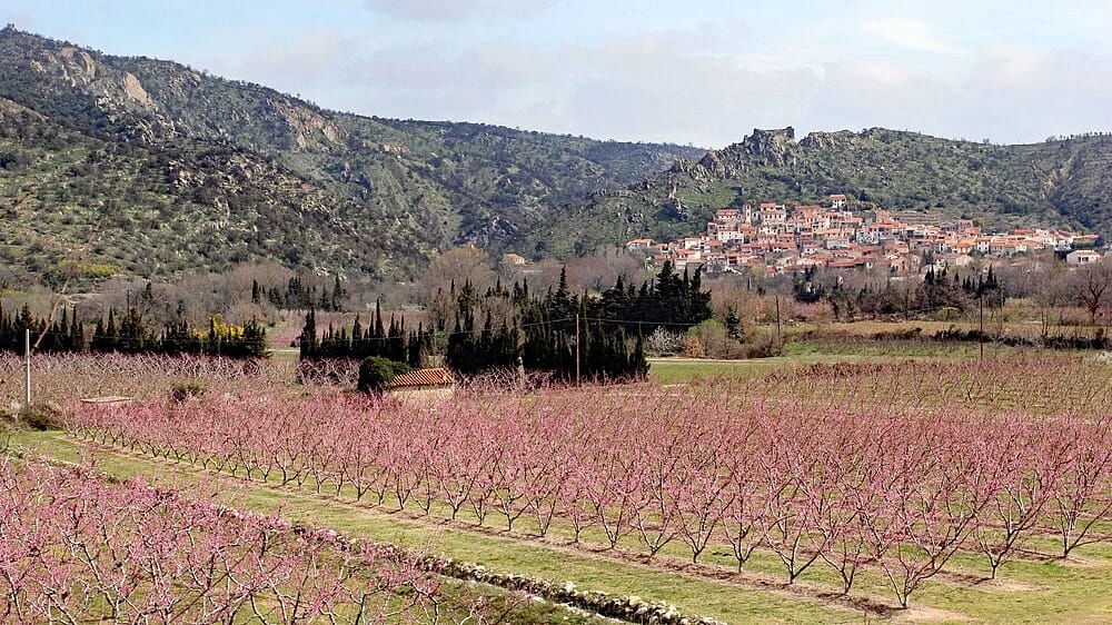 Panneaux solaires à Rodès