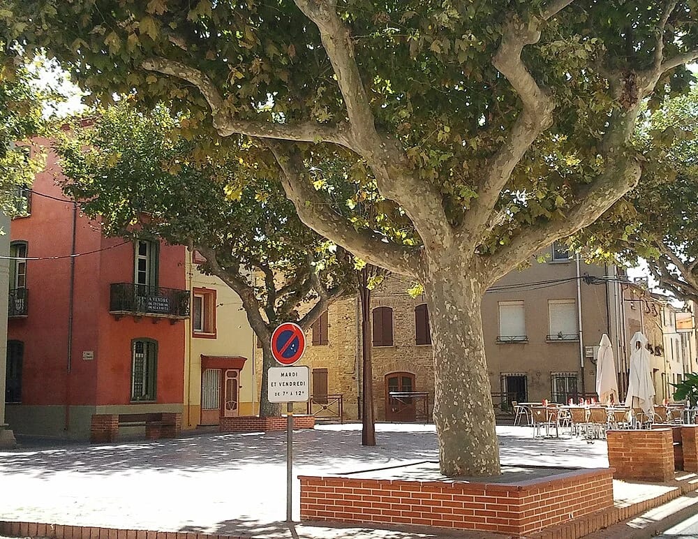 Panneaux solaires à Torreilles
