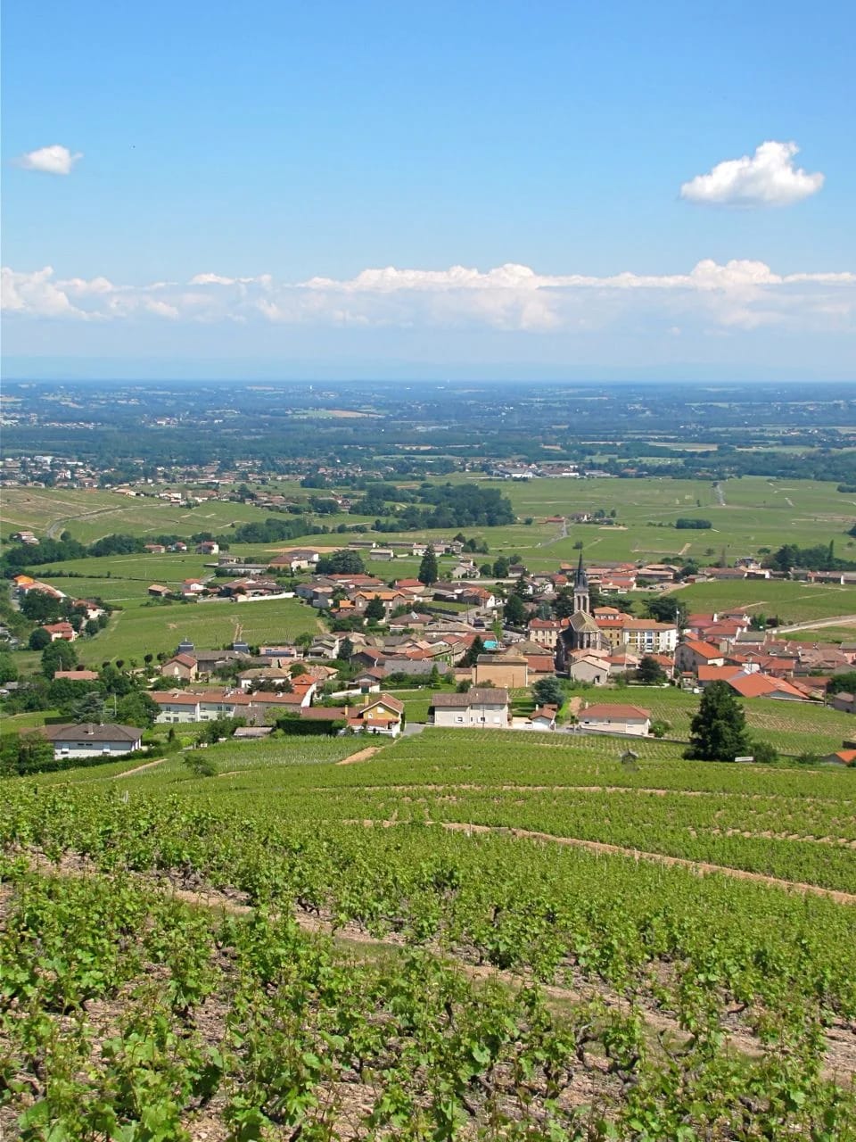 Panneaux solaires à Fleurie